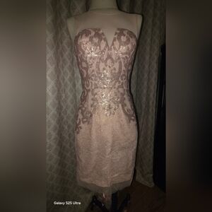BCBGMaxAzria Lace Midi Dress in Blush